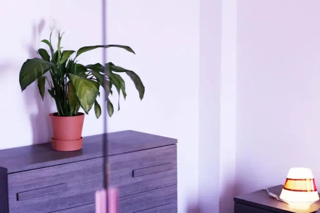 Cozy Vatican Apartment With Starry Balcony Garden Rome Italië